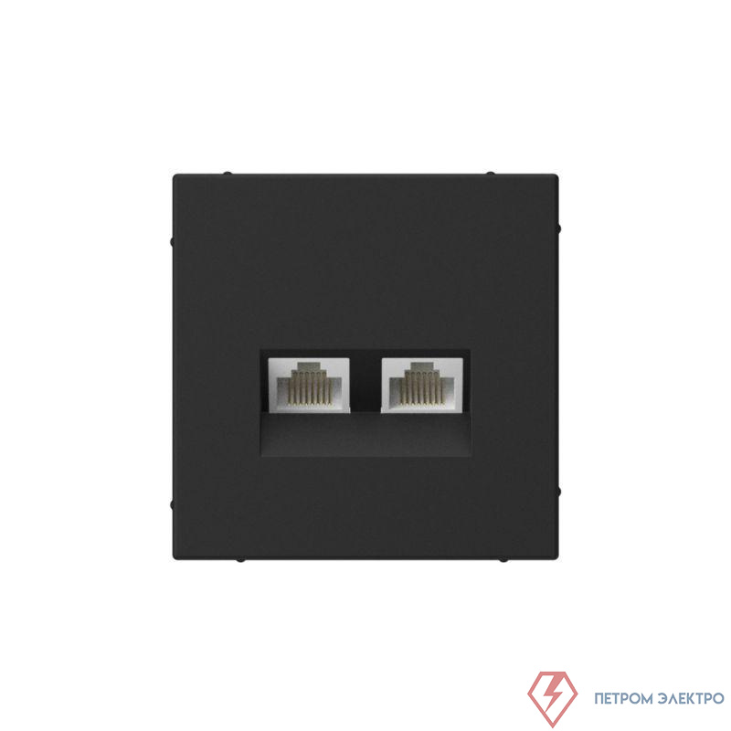 Розетка компьютерная 2-м ArtGallery RJ45 + RJ45 кат.5E механизм карбон SE GAL001085