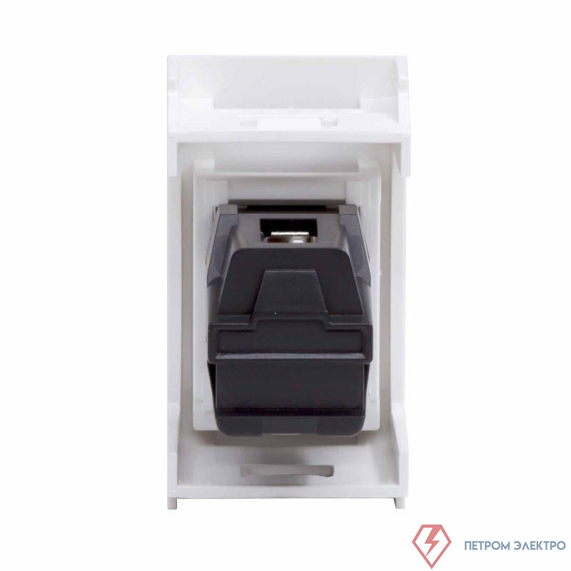 Розетка USB 1-м 1мод. Viva USB 2.0 бел. DKC 42018