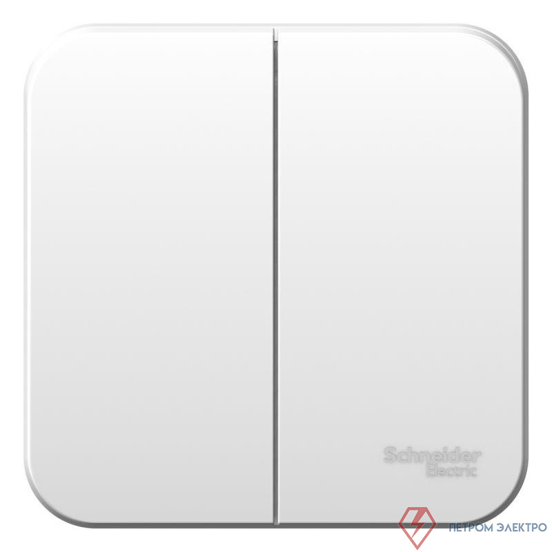 Выключатель 2-кл. ОП Blanca 6А IP20 (сх. 5) 250В с металлич. пластиной бел. SE BLNVA065021