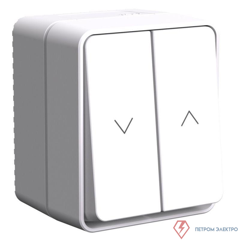 Выключатель для жалюзи 2-кл. ОП AtlasDesign PROFI 10А IP54 бел. SE ATN540119