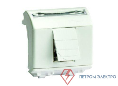 Розетка компьютерная СП 2мод. Brava RJ45 кат.5E сл. кость DKC 75655S