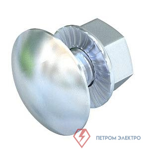 Болт с плоской головкой М10х25 FRS G OBO 6407521