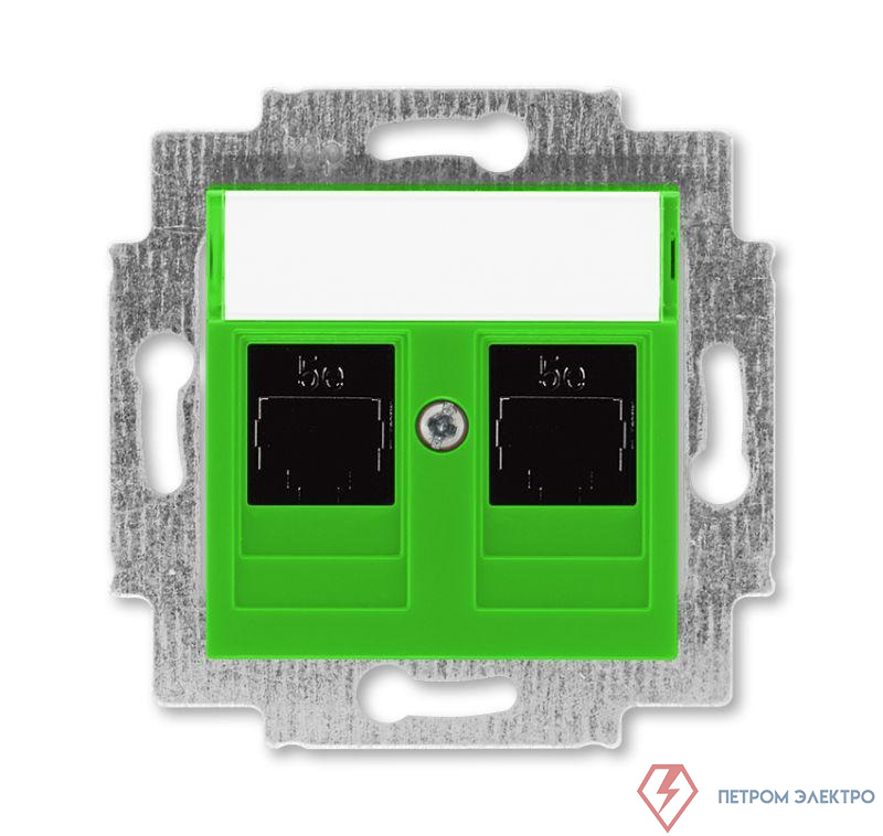 Розетка компьютерная 2-м Levit RJ45 кат.5E зел. ABB 2CHH295118A6067