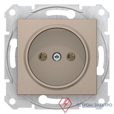 Механизм розетки 1-м СП Sedna 16А IP20 250В без заземл. без защ. шторок титан SchE SDN2900168