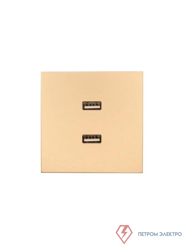 Розетка 2-м СП ZIMA IP20 USB механизм зол. LEZARD 704-3688-192