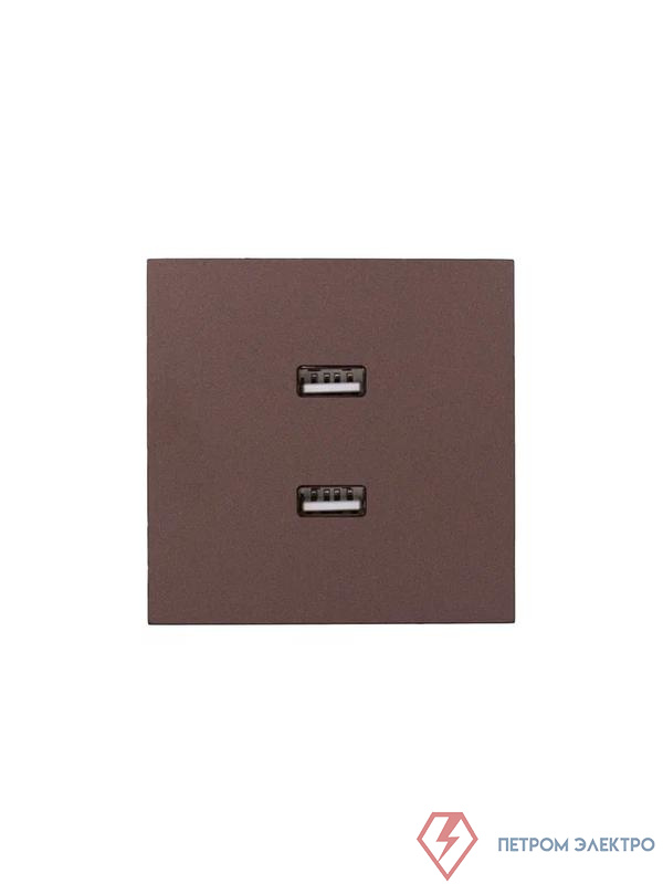 Розетка 2-м СП ZIMA IP20 USB механизм шоколад LEZARD 704-7388-192