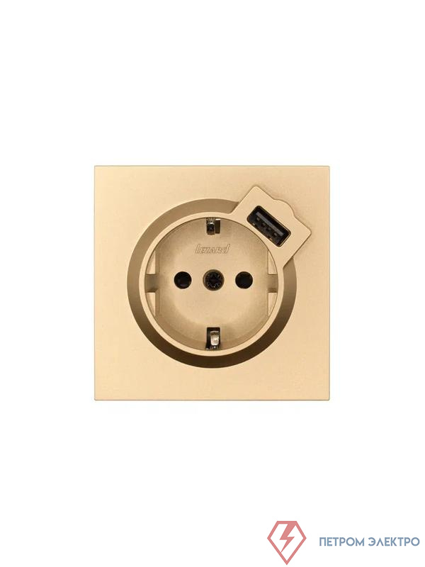 Розетка 1-м СП ZIMA IP20 + USB с заземл. механизм зол. LEZARD 704-3688-181