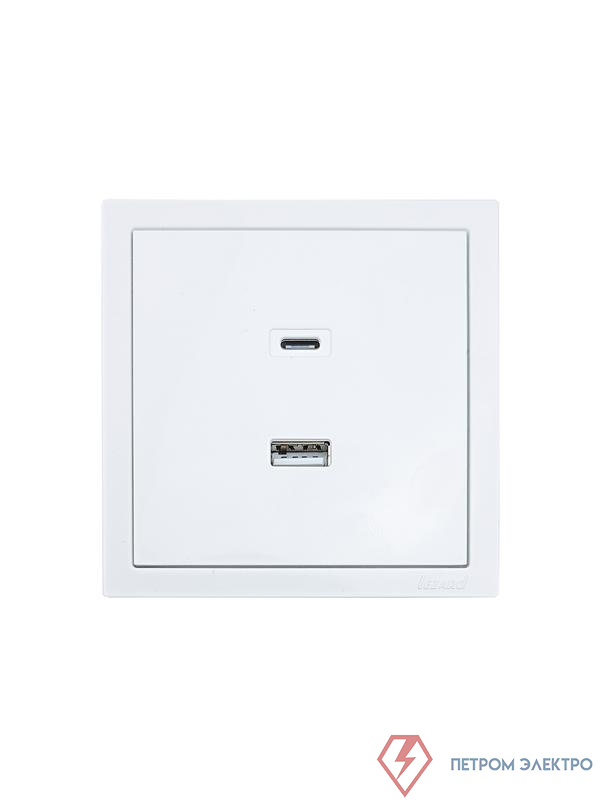 Розетка СП ZIMA IP20 Type-C + USB механизм бел. LEZARD 704-0288-192TC
