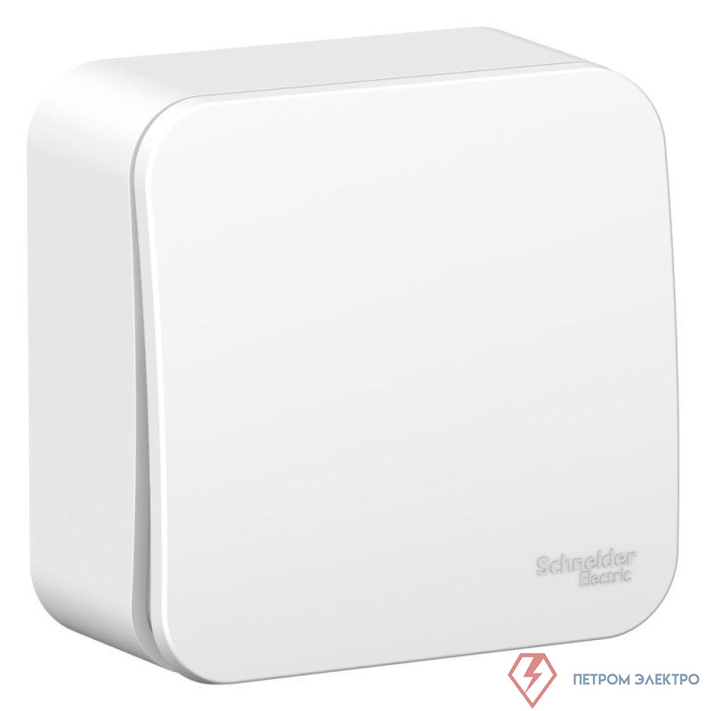 Выключатель 1-кл. ОП Blanca 6А IP20 (сх. 1) 250В с металлич. пластиной бел. SE BLNVA061021