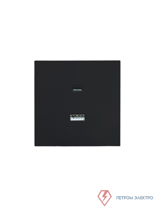 Розетка СП ZIMA IP20 Type-C + USB механизм черн. бархат LEZARD 704-4288-192TC