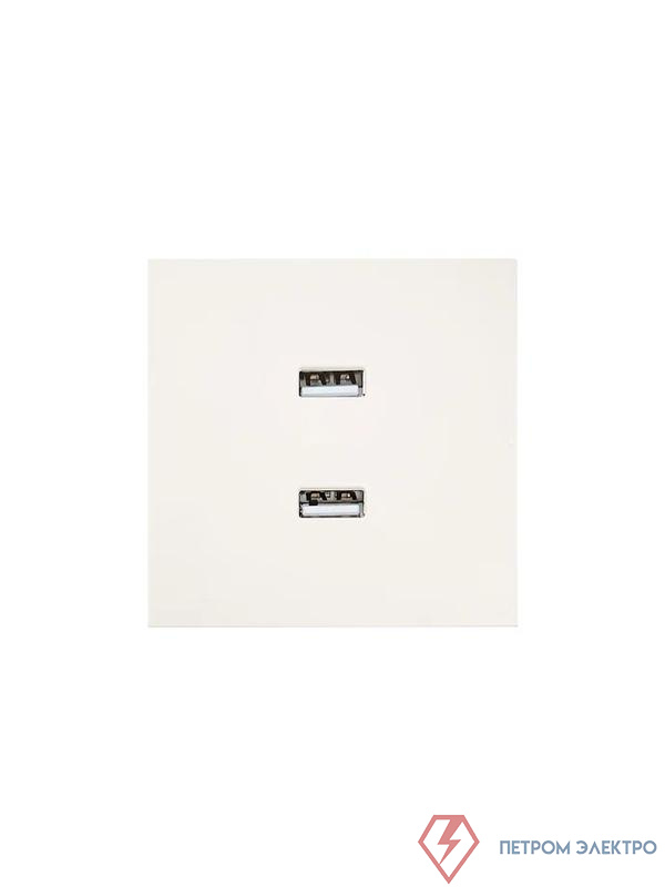 Розетка 2-м СП ZIMA IP20 USB механизм сл. кость LEZARD 704-9088-192