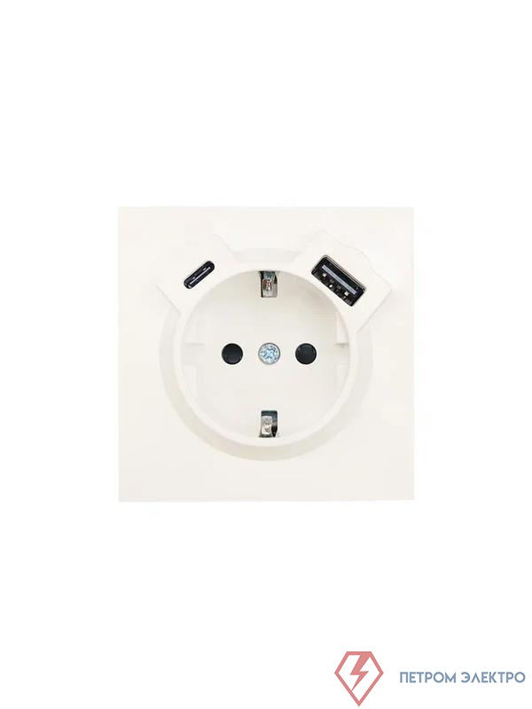 Розетка 1-м СП ZIMA IP20 Type-C + USB с заземл. механизм сл. кость LEZARD 704-9088-181TC