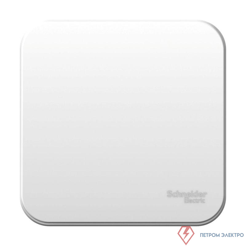 Выключатель 1-кл. ОП Blanca 10А IP20 (сх. 1) с самовозвратом с изолир. пластиной бел. SE BLNCA101011