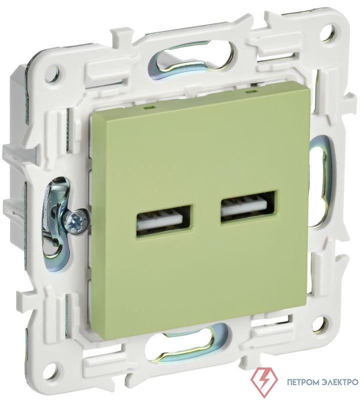 Розетка USB A+A 3.1А SKANDY SK-R15G мятный IEK SK-U21-D31-K06